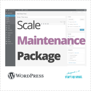 Wordpress Maintenance - Startup Scale Maintenance Package