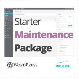 Wordpress Maintenance - Starter Wordpress Maintenance Package