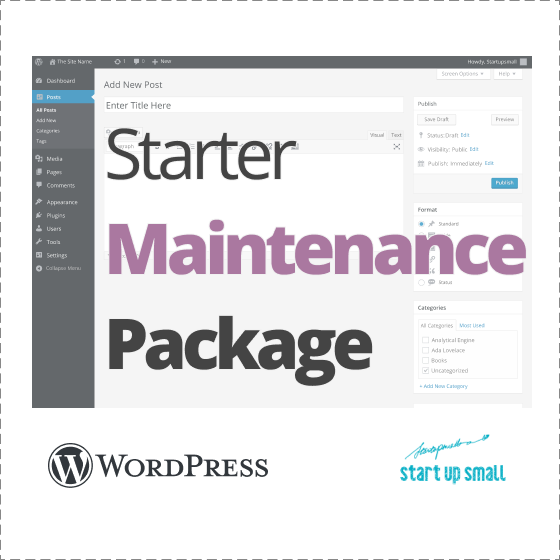 Wordpress Maintenance - Starter Wordpress Maintenance Package