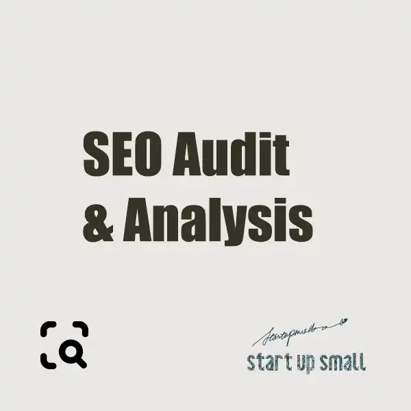 SEO Audit Analysis