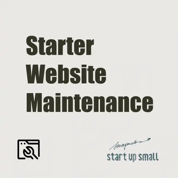 Starter Website Maintenance Plan